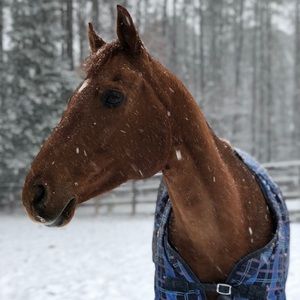 Meet your Posher, Kyleigh